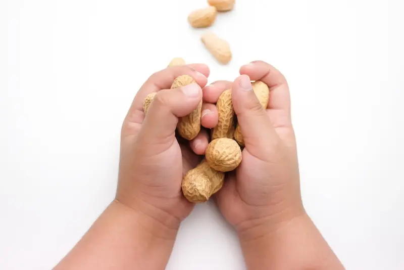 Pilihan makanan anak sesuai pantangan alerginya Pilihan makanan anak sesuai pantangan alerginya