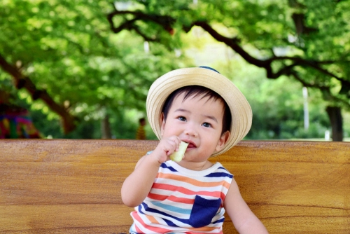 Camilan bayi 9 bulan - Bebeclub