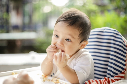 Tekstur mpasi bayi 8 bulan. Tekstur mpasi bayi 8 bulan.