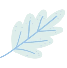 Daun